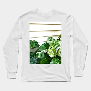 Variegated Monstera Frog Long Sleeve T-Shirt